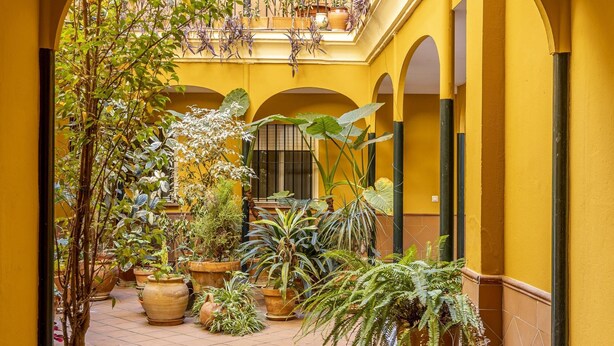 Un cortile dalle pareti gialle con piante in vaso e pavimento piastrellato.
