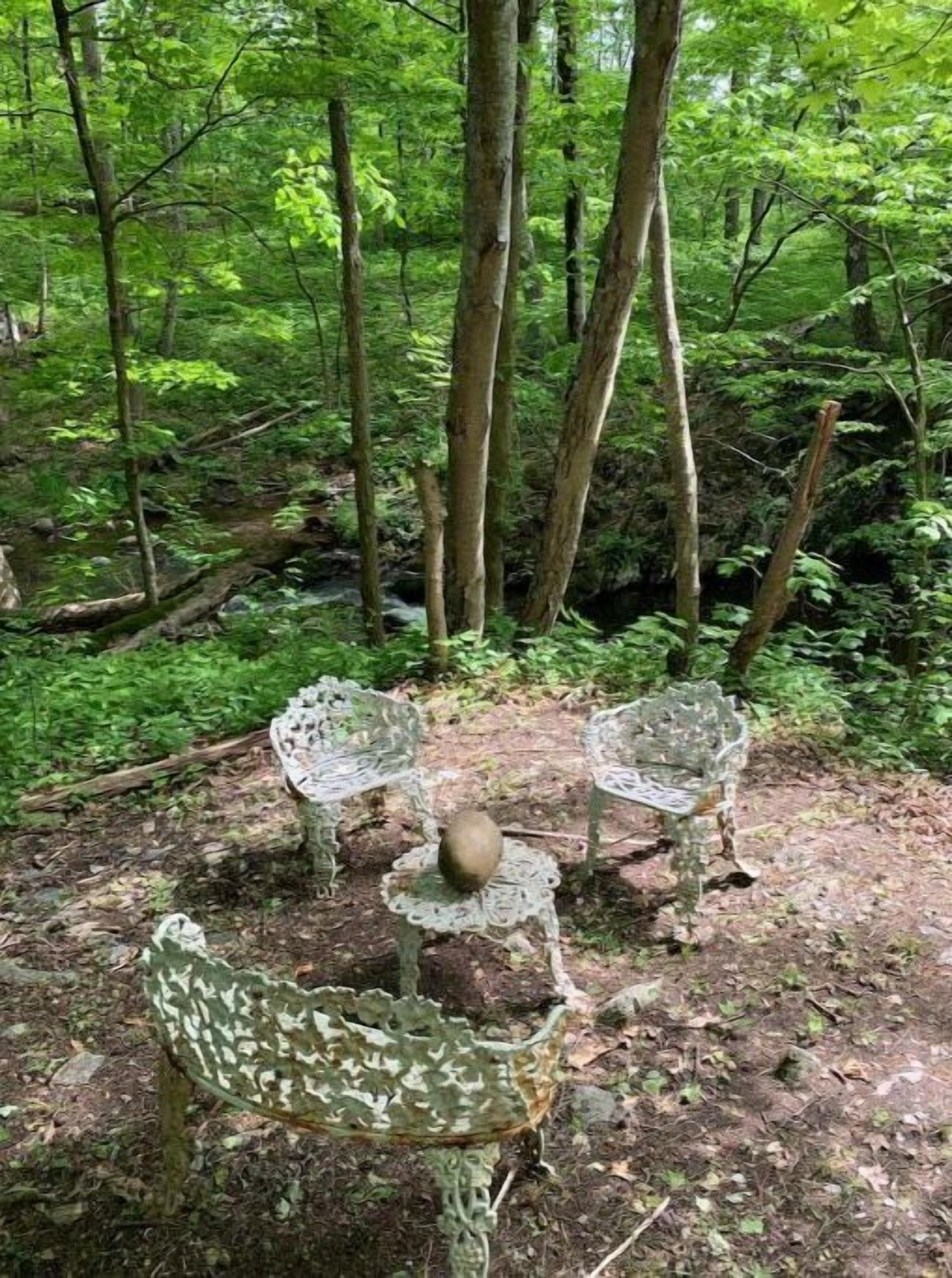 A forest with three metal chairs and a table, surrounded by trees and foliage.