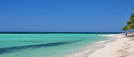 Camastros y toallas de playa
