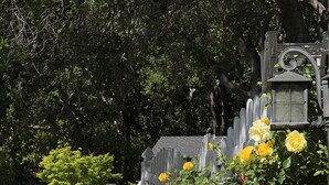 A mailbox with a U.S. Mail emblem, surrounded by a variety of flowers including red, yellow, and pink blooms. - Bright Garden Guest Suite in Los Gatos, Heart of Silicon Valley (Los Gatos)