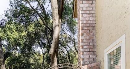 Bright Garden Guest Suite in Los Gatos, Heart of Silicon Valley