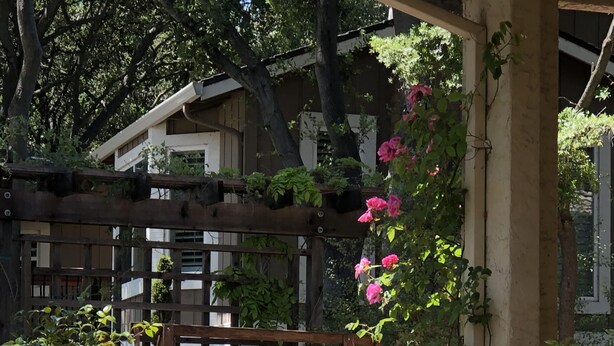 A patio area with wicker furniture, a table with a cup and saucer, and a wooden pergola with climbing plants. - Bright Garden Guest Suite in Los Gatos, Heart of Silicon Valley (Los Gatos)