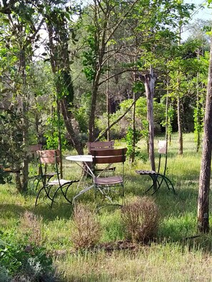 Speisen im Freien