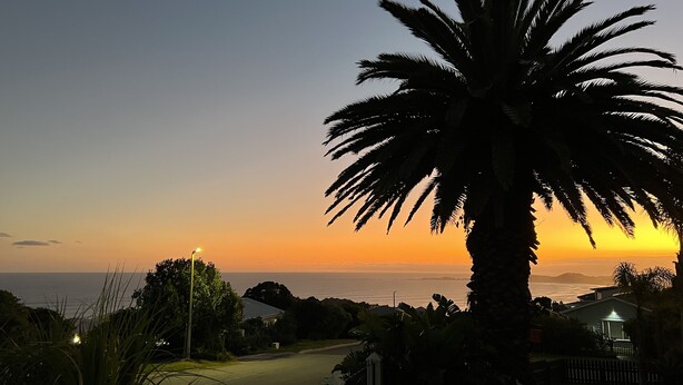 A sunset view with a palm tree in the foreground and a house in the background. - Brenton Bliss, beach view, walk to beach, safe secluded area on the Garden Route (Knysna)