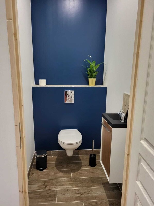 Un baño pequeño con un inodoro blanco, una pared azul decorativa, un estante con una planta y un cubo de basura negro.