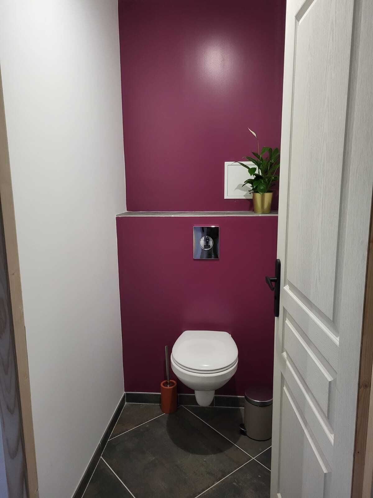A small bathroom with a white toilet, a trash bin, and a potted plant on a shelf.