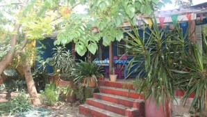 Un jardin agrémenté de plantes en pot, un escalier et un bâtiment décoré de drapeaux aux couleurs vives.