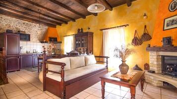 Smart TV, fireplace, DVD player, books