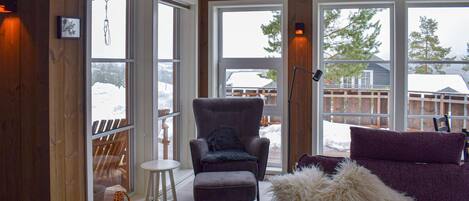 TV, fireplace, DVD player