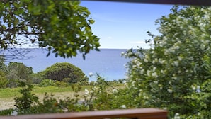 A view of the sea through foliage, with a wooden railing in the foreground.