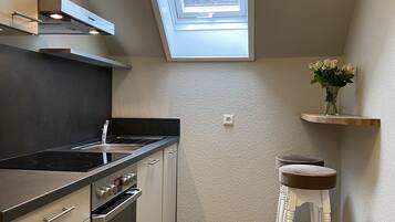 Kühlschrank, Ofen, Herdplatte, Geschirrspüler