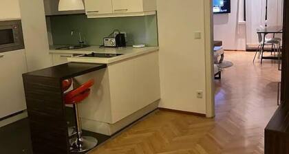 Schöne Wohnung in der Wiener Innenstadt