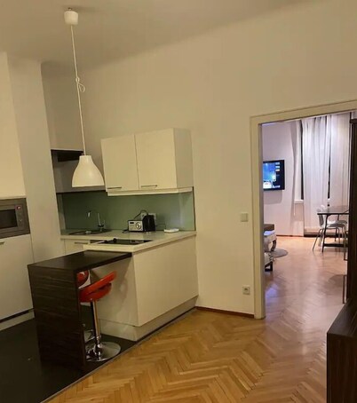 Schöne Wohnung in der Wiener Innenstadt