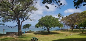 Un parc avec un banc, des arbres et une vue sur la mer.