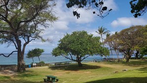 Un parc avec un banc, des arbres et une vue sur la mer.