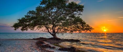 Camastros y toallas de playa