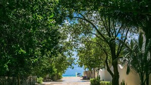 A pathway lined with trees leading to a beach. - Dream 2BR PH! Steps to Beach! Downtown location! (Playa del Carmen)