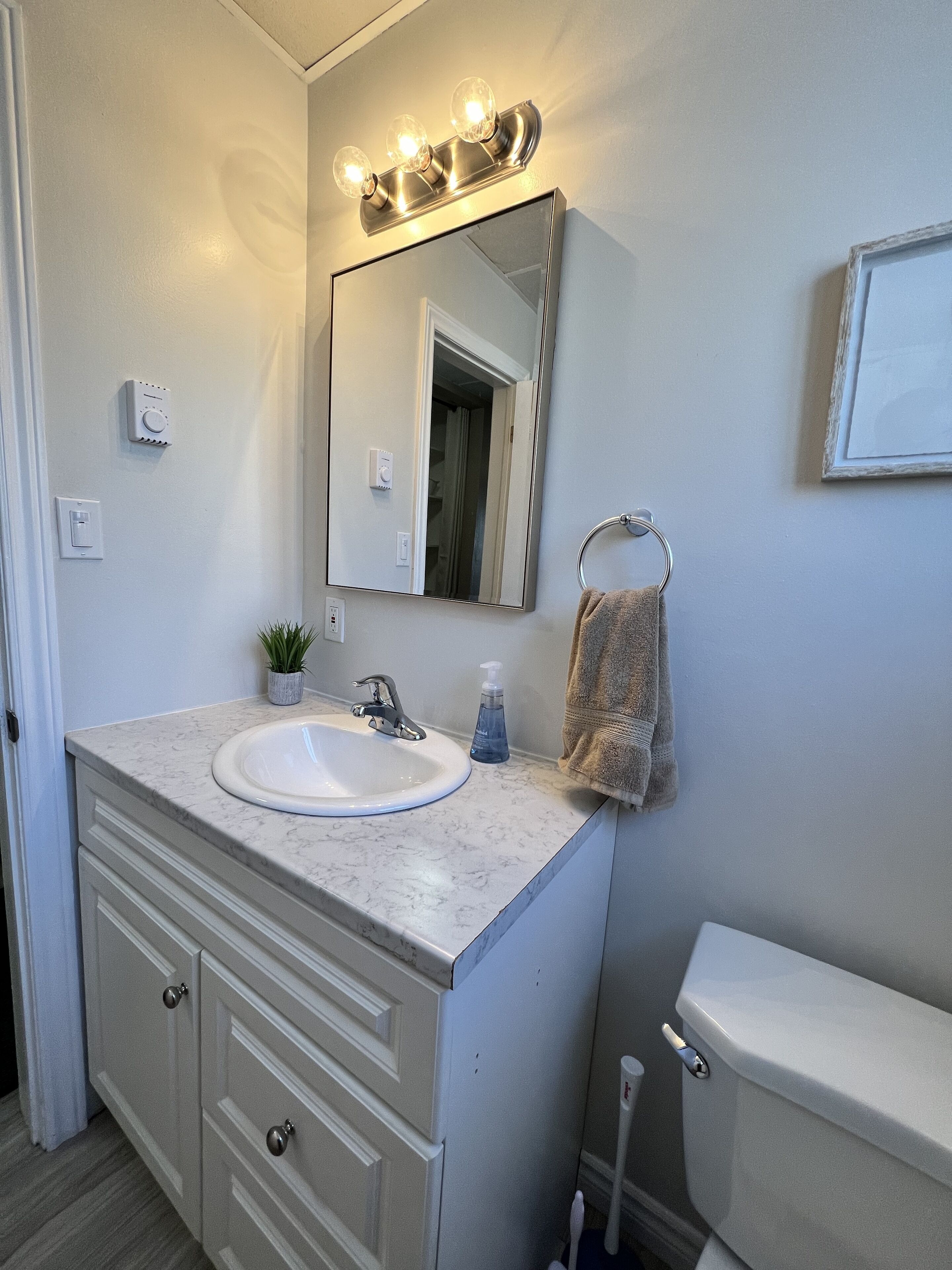 Newly Renovated Ground Floor Apartment