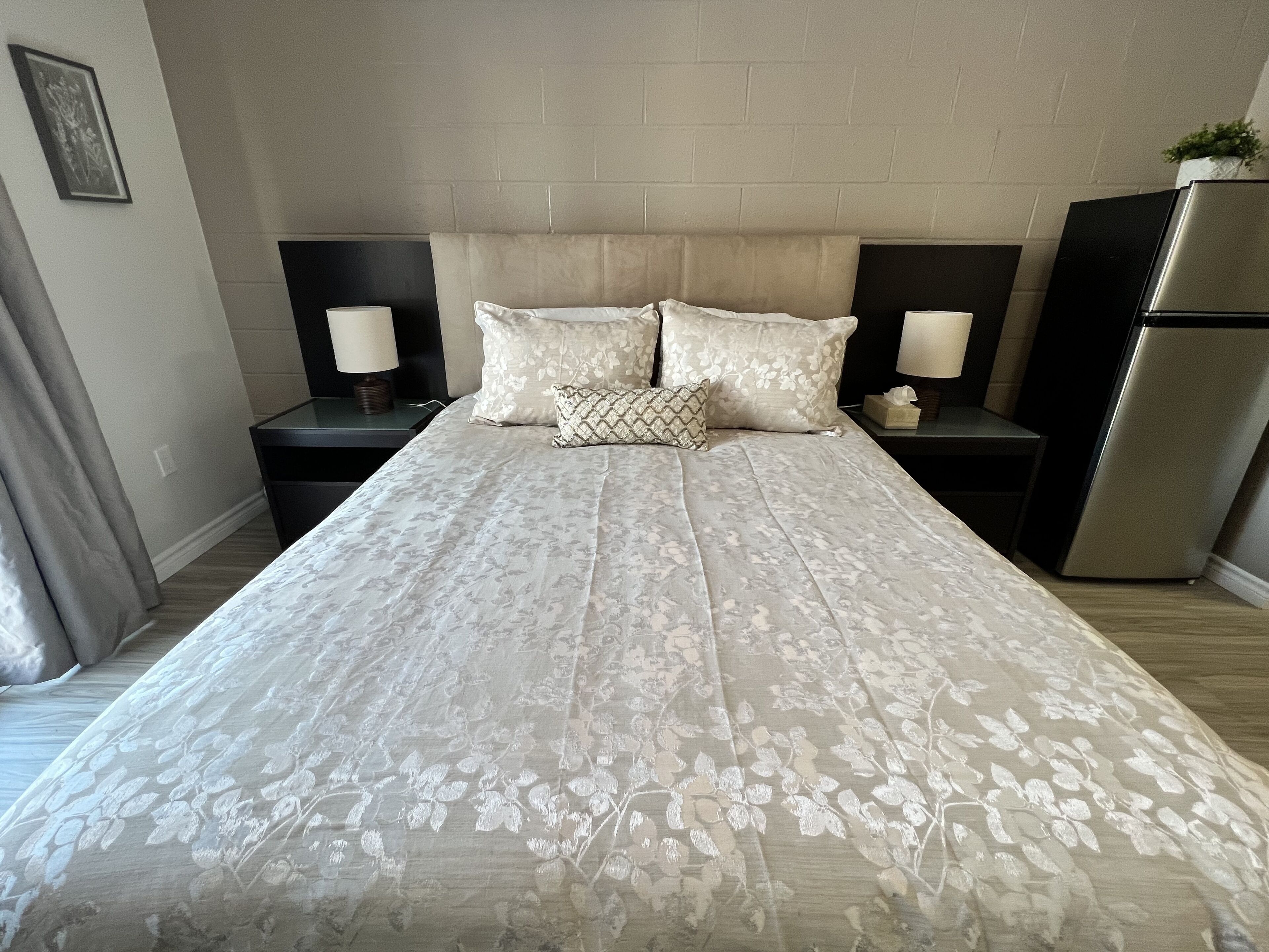 Newly Renovated Ground Floor Apartment