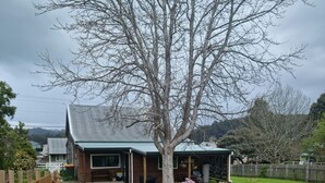 A house with a fenced yard, a tree, and a sign indicating it's for sale. - Heritage Timber Cottage - close to shops & amenities (Pemberton)