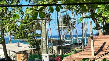Beach/ocean view