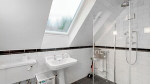 A modern bathroom with a skylight, a shower, a sink, and a toilet. - This studio apartment is brilliant. (West Linton, near Edinburgh)