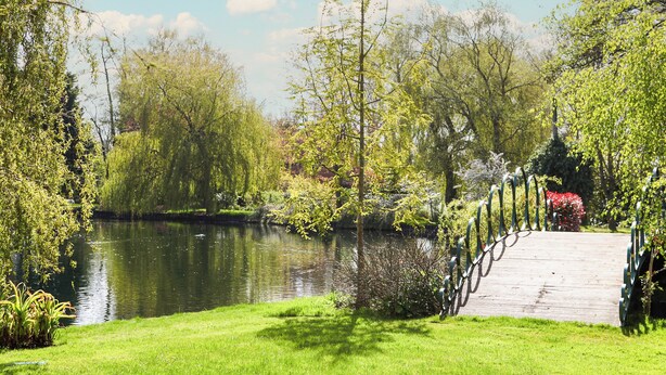 A serene park with a wooden bridge over a calm pond, surrounded by lush greenery and trees. - 1 bedroom accommodation in Strumpshaw, near Norwich (Strumpshaw, near Norwich)