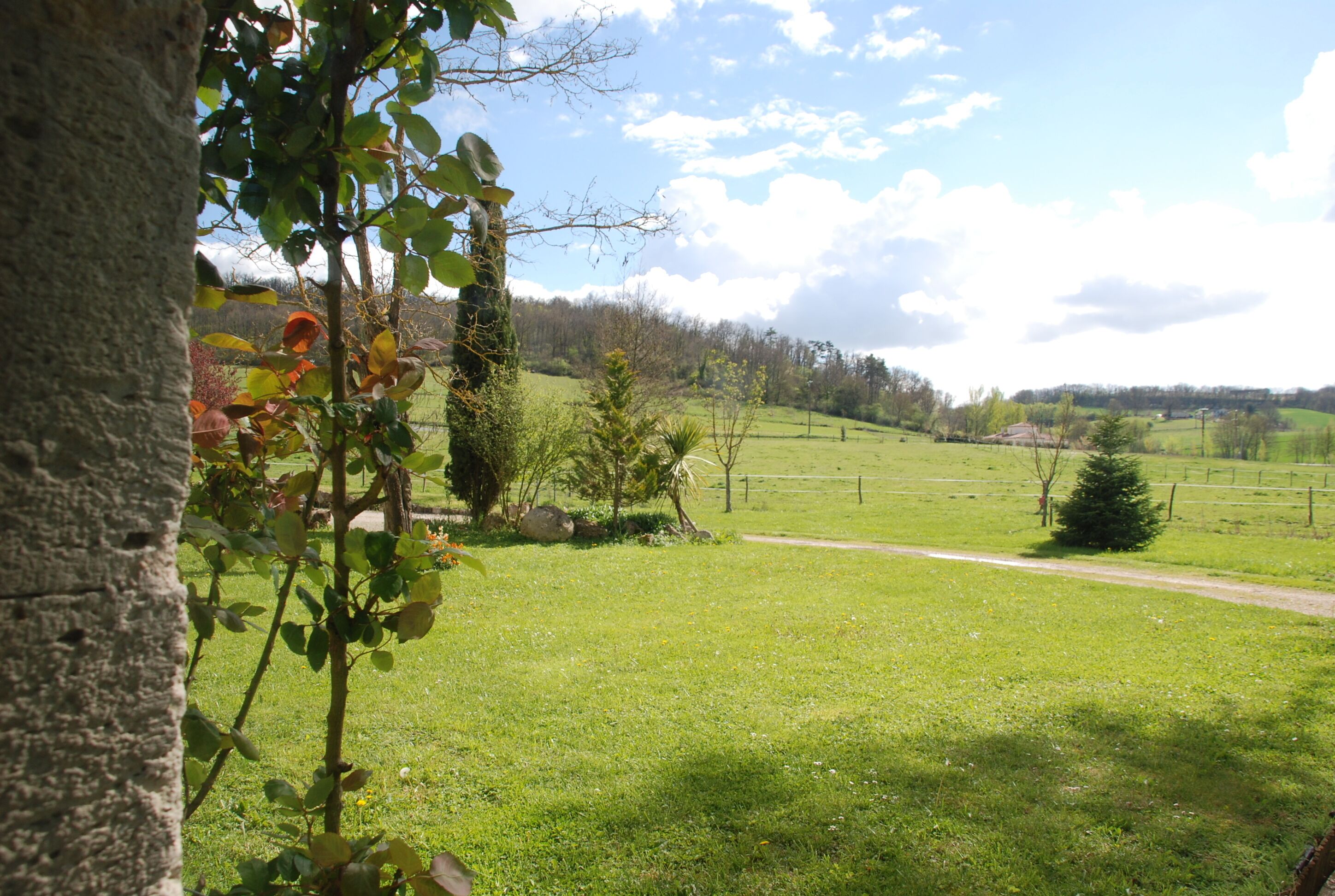 A rural landscape with a dirt path, green fields, and a tree in the foreground.