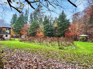 Imagen sin descripción, 5 de 21, botón