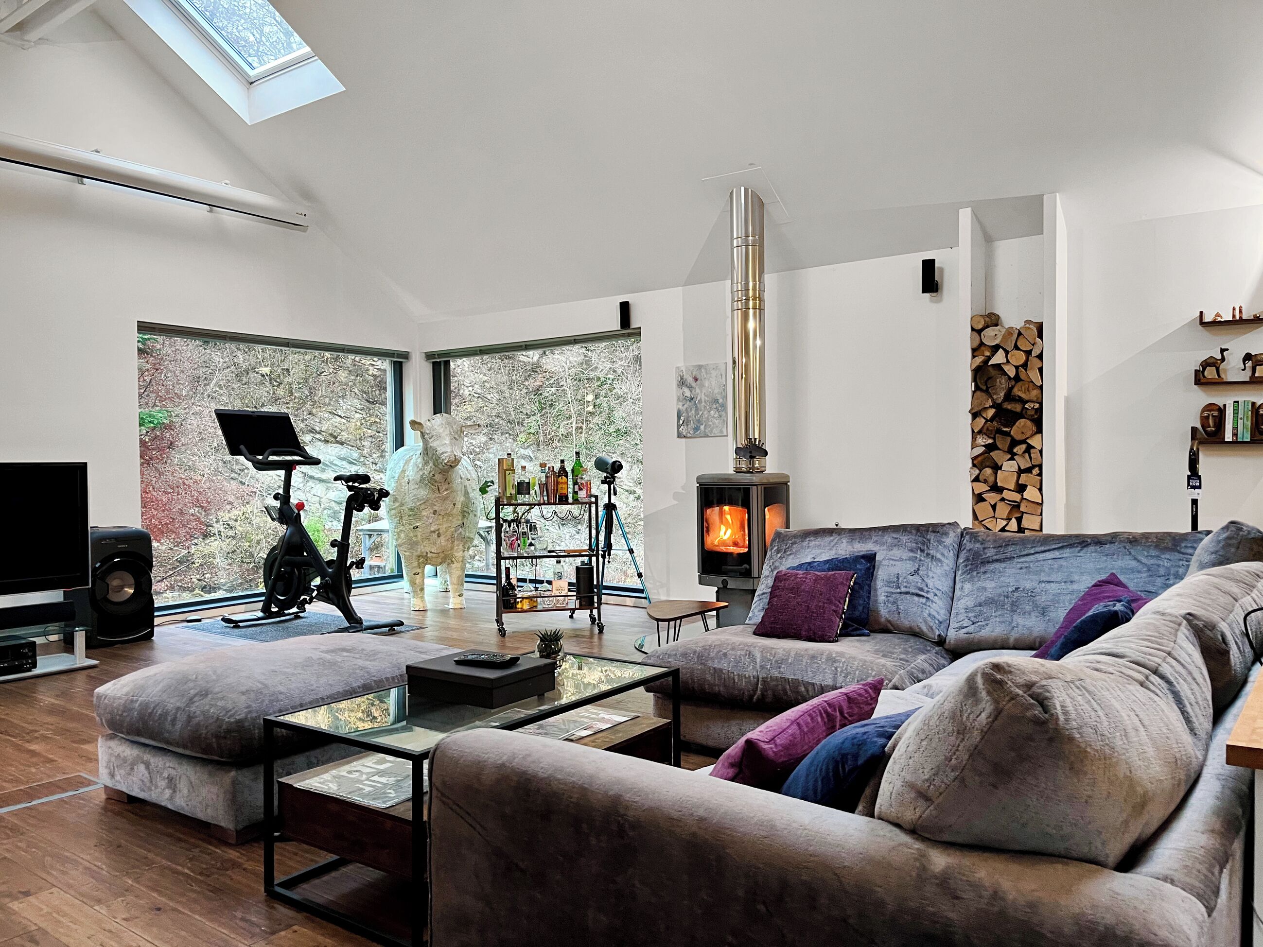 TV, fireplace