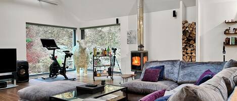 TV, fireplace