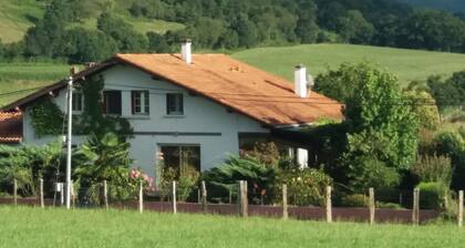 At the foot of the Gamia pass, 10 minutes from St Jean Pied de Port, a beautiful apartment. 100m2