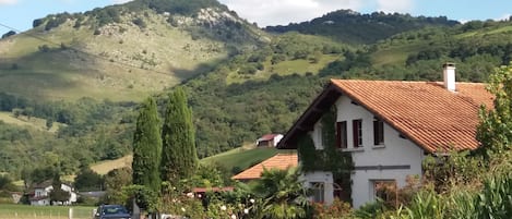 A rural road with houses on either side, surrounded by greenery and hills.