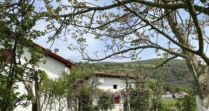 At the foot of the Gamia pass, 10 minutes from St Jean Pied de Port, a beautiful apartment. 100m2