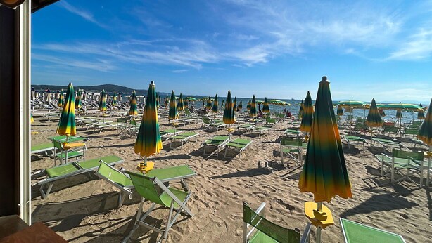 A beach with rows of green and yellow beach chairs and umbrellas, a clear sky, and a calm sea in the background.