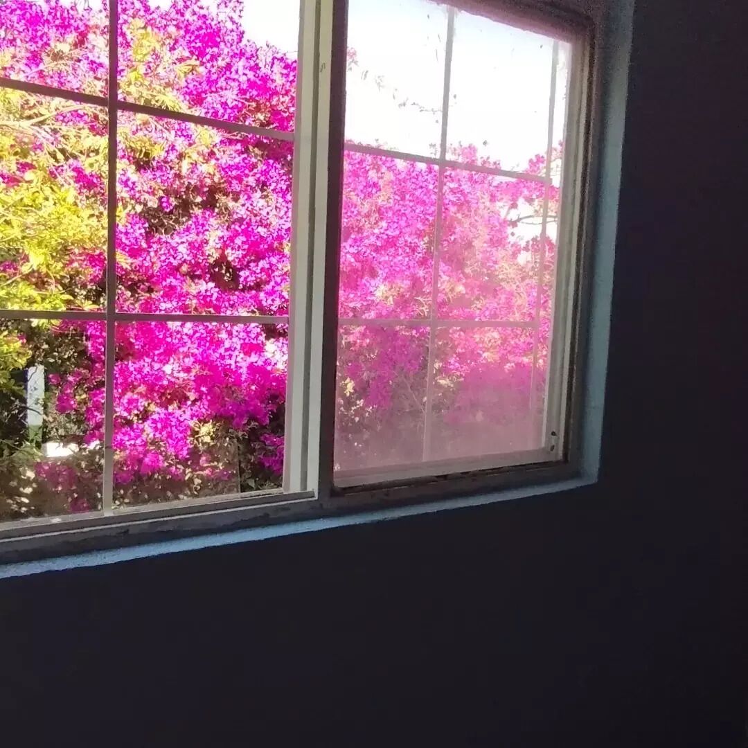 Premium bedding, down duvets, Tempur-Pedic beds, minibar