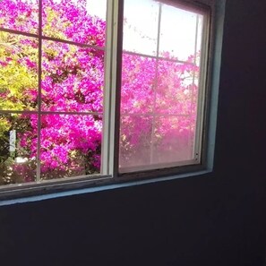 Literie de qualité supérieure, couette en duvet d'oie