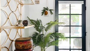 Una habitación con una puerta de marco negro, una pared blanca, una estantería de madera con adornos y una planta en maceta.