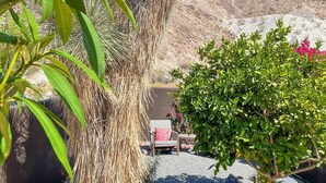 Un jardín desértico con cactus y una silla al fondo.