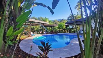 Outdoor pool, sun loungers
