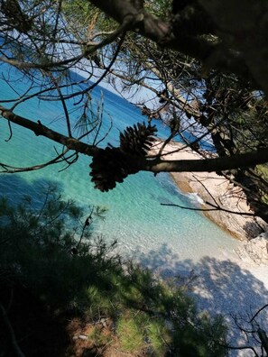 Plage à proximité