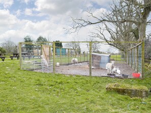 المنطقة المحيطة بالمنشأة