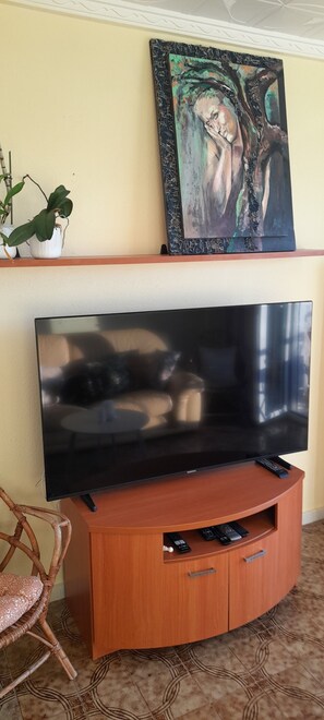 Flat-screen TV