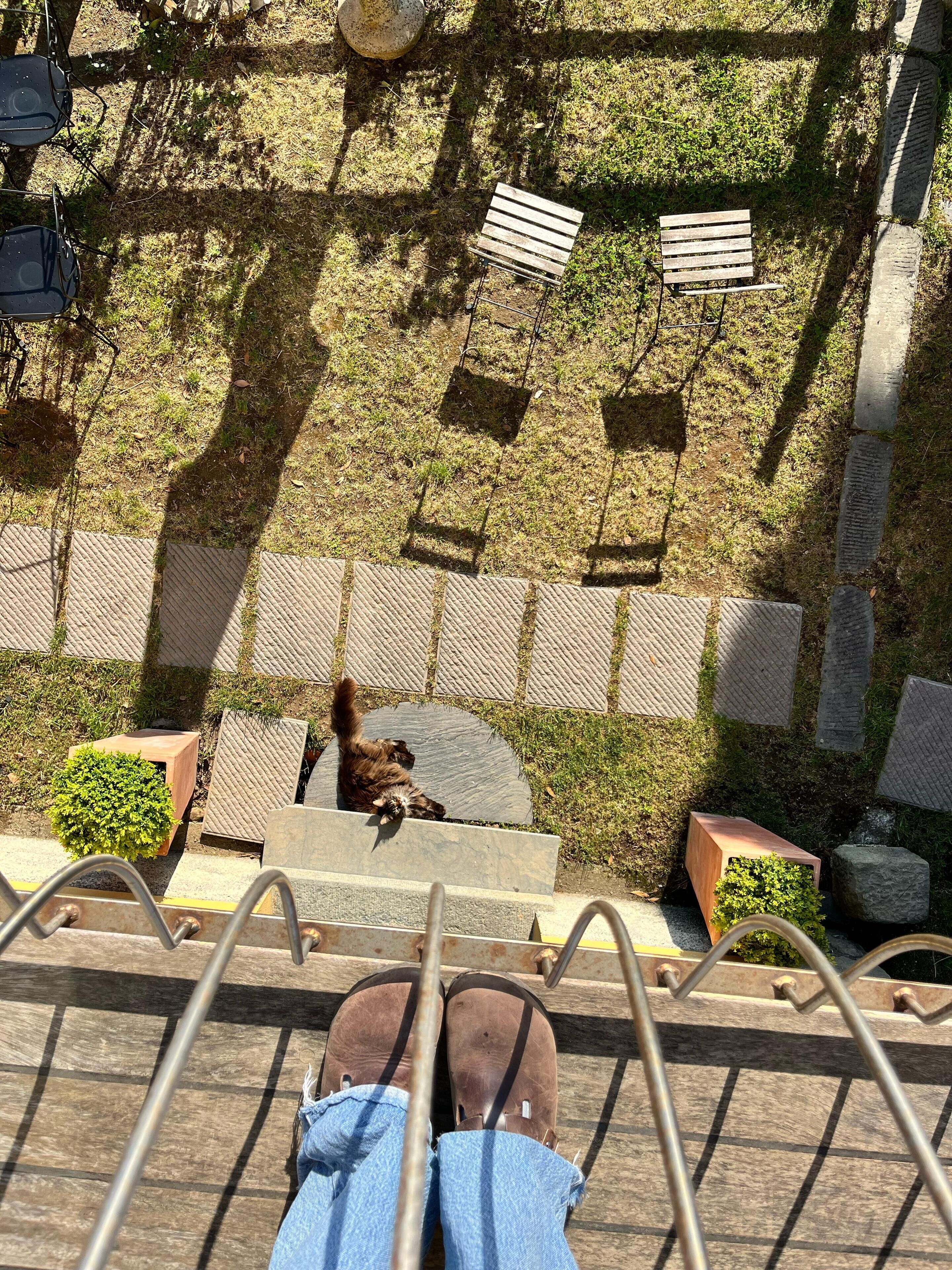 Terraço/pátio