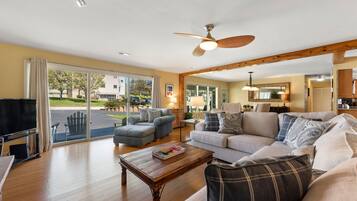 TV connectée, cheminée, livres