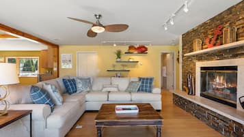 Smart TV, fireplace, books