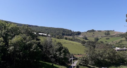Renovated farmhouse in a hamlet in the Monts du Lyonnais,