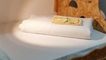 Superior Shared Dormitory