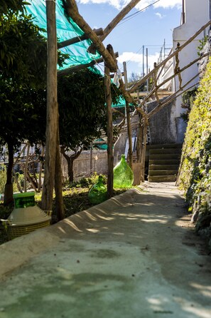 Parco della struttura