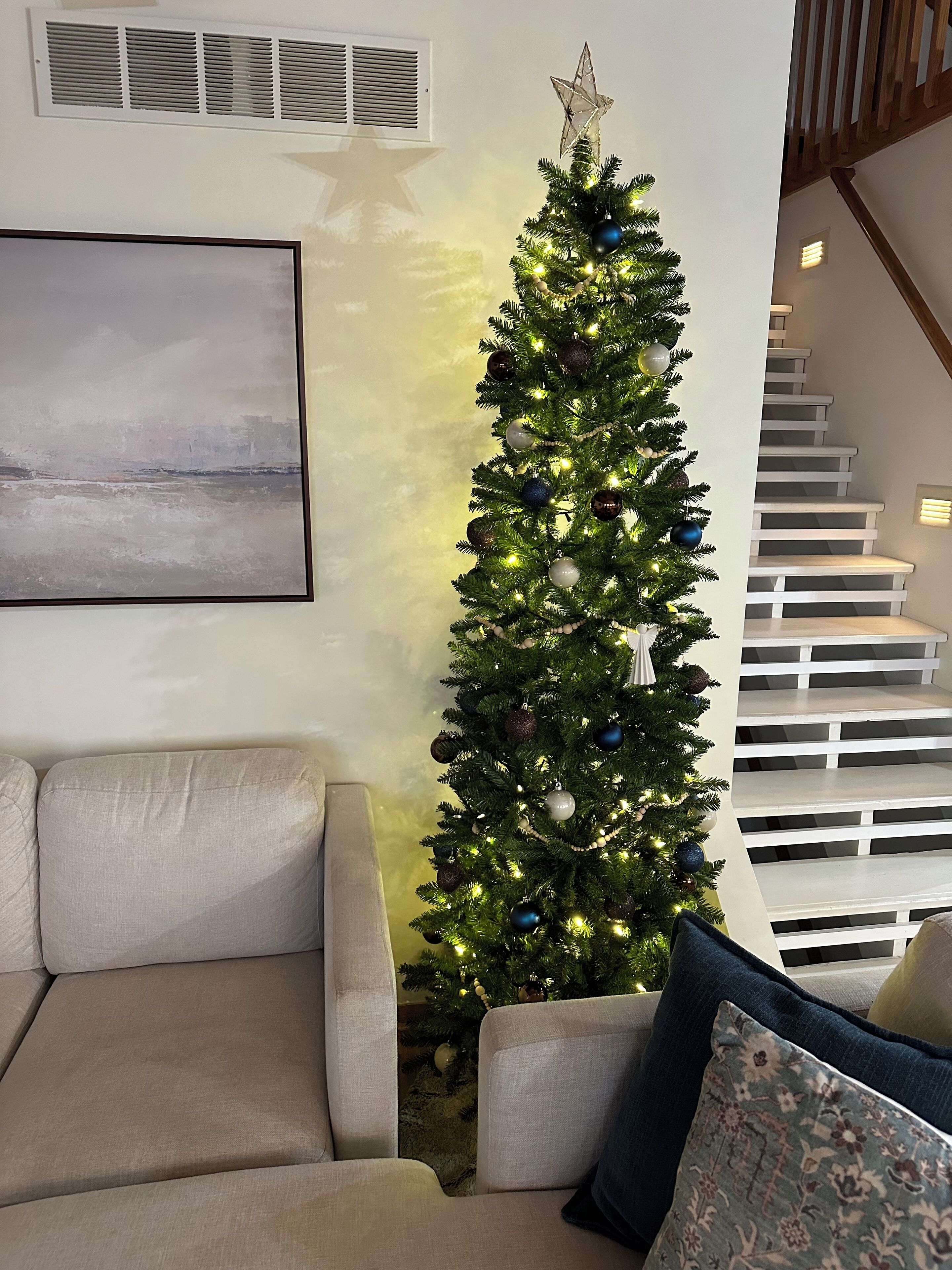 Smart TV, mesa de pingue-pongue, livros